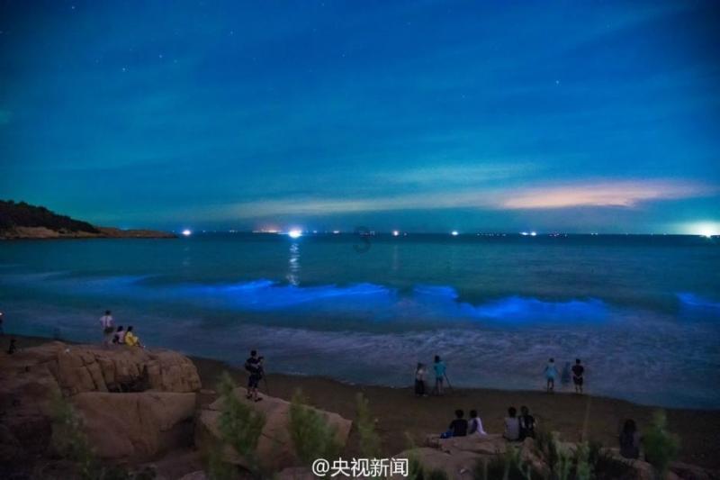 春雨直播app